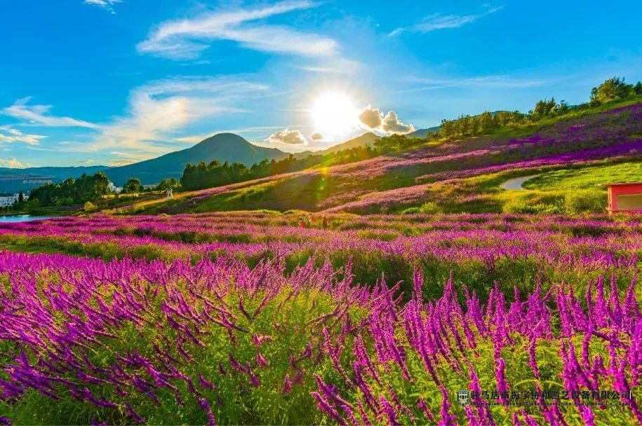 華僑城昆明陽宗海度假區(qū)云端花?!黝}樂園射擊游樂項目推薦.jpg